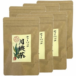 月桃茶 2g×20パック ティーパック ノンカフェイン 沖縄県産 無農薬 【6袋セット】