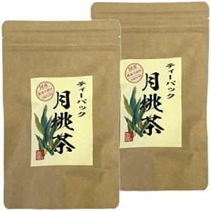 月桃茶 2g×20パック ティーパック ノンカフェイン 沖縄県産 無農薬 【2袋セット】