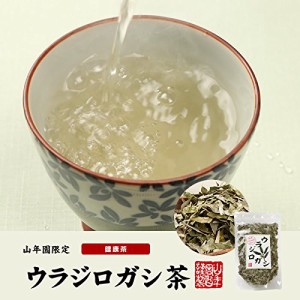 ウラジロガシ茶 100g  ノンカフェイン 無農薬【国産 100%】宮崎県産 巣鴨のお茶屋さん 山年園