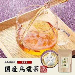 山年園 烏龍茶 ウーロン茶 ティーパック 2.5g×24パック 【国産 無添加 100%】 巣鴨のお茶屋さん