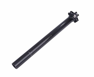 ドライカーボン シートポスト チタン ボルト ポスト径 27.2mm 全長 350mm グロスフィニッシュ 2ボルトクランプ 軽量 高強度 汎用品