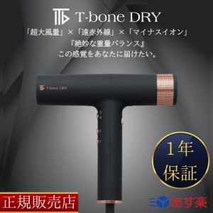 【正規販売店】 T-bone DRY ティーボーンドライ ケアドライヤー 武田 TKD-OD 01 サロン専売品 業務用 大風量 マイナスイオン