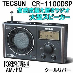 TECSUN CR-1100DSP AM/FMラジオ DSP処理高感度受信 据え置きタイプ 日本語説明書付き