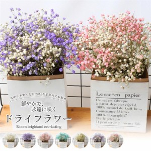 ドライフラワー 花材 送料無料 紙袋付き かすみ草 花束 母の日 プレゼント インテリア 飾り スイーツチョコ以外 水やり不要 誕生日プレゼ