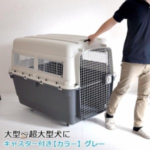 大型 犬用 クレートの通販｜au PAY マーケット