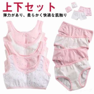 ブラジャー4枚＆ショーツ4枚セット！パンツ ジュニア ブラ ブラジャー ショーツ 子供 キッズ 上下セット 綿 肌着 アンダーウェア 綿 女の