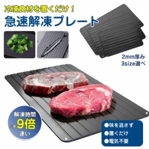 解凍プレート 急速解凍【2023新型】S/M/Lサイズ 自然解凍 急速 解凍 食品解凍 冷凍食品 家庭用 解凍トレイ アルミ合金 熱を加えず 肉 刺