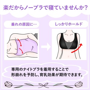 ナイトブラ 育乳ブラ 見せブラ ノンワイヤー レース 4色 フリーサイズ ブラ 可愛い エロカワ セクシー ナイトブラ バストアップ バストケ