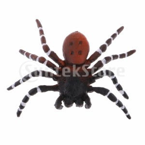 蜘蛛模型 スパイダーモデル 動物おもちゃ フィギュア 飾り 2個パック