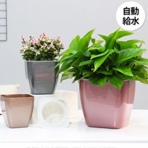 植木鉢 プランター おしゃれ 鉢植え 花 栽培 プレゼント ギフト 母の日 通販 かわいい ガーデニング ゴールド グレー レッド清潔感 エレ