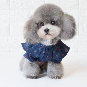 ドッグウェア おしゃれ 犬用服 お出かけ シャツ 小型犬 かわいい 洋服 チェリープリント つなぎ ペット服 夏用 女子 犬服