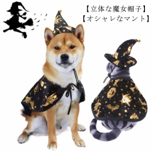  猫 マント＆帽子 2点セット 変身 魔法使い ペットの服 ハロウィン ネコ 犬 コスチューム かわいい ハロウィーン 仮装 変装 衣装 写真 撮