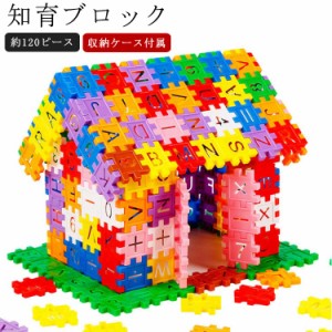 120ピース 知育 ブロック 立体 ブロック はめ込み パズル おもちゃ 知育玩具 コインブロック 男の子 女の子 立体 パズル 積み木 おもちゃ