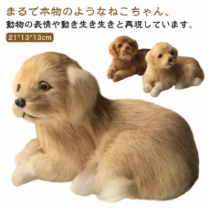 吉徳大光 【即納】DOG LOVERS ゴールデンレトリバー M