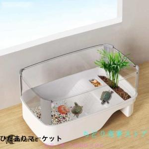 亀 水槽 透明 リクガメ ケージ　高精細ガラス ガラス透明 360° 水槽セット Amazon | 亀 水槽 大きい 透明 リクガメ ケージ カメの生息地