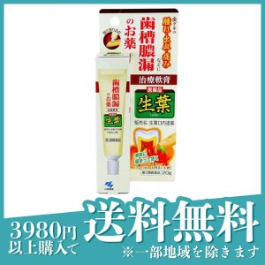 第３類医薬品生葉口内塗薬 20g 治療軟膏 塗り薬 歯槽膿漏 歯肉炎 歯茎の腫れ 出血 痛み 口内炎 市販 しょうよう(定形外郵便での配送)