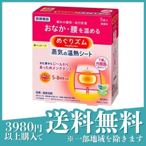 めぐりズム 蒸気の温熱シート 下着の内側面に貼るタイプ 5枚(定形外郵便での配送)