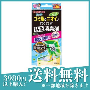 クリーンフロー ゴミ箱のニオイがなくなる貼る消臭剤 ミントの香り 1個(定形外郵便での配送)