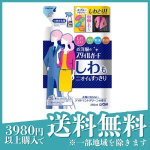  3個セットお洋服のスタイルガード しわもニオイもすっきりスプレー 250mL (詰め替え用)