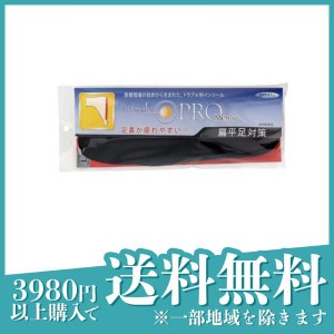  3個セットインソールプロ 偏平足対策 メンズ  1足 (Lサイズ(2枚))