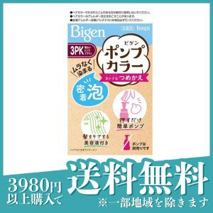 ビゲン ポンプカラー つめかえ 3PK明るいピンクブラウン 1個