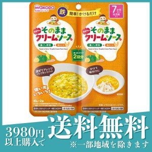 和光堂 そのままソース かぼちゃクリーム 40g (×2袋)(定形外郵便での配送)
