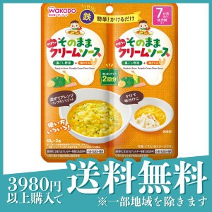  3個セット和光堂 そのままソース かぼちゃクリーム 40g (×2袋)