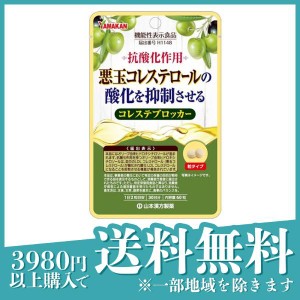  3個セット山本漢方製薬 コレステブロッカー 60粒 (30日分)(定形外郵便での配送)