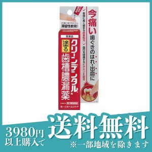 第３類医薬品 3個セットクリーンデンタルN 8g 軟膏 塗り薬 歯槽膿漏 歯肉炎 歯茎の腫れ 出血 痛み 口内炎 市販(定形外郵便での配送)