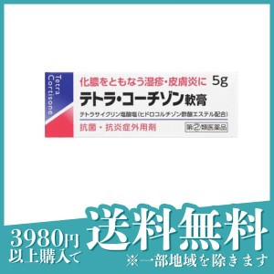 指定第２類医薬品 3個セットテトラ・コーチゾン軟膏 5g 化膿止め 塗り薬 ステロイド 抗生物質 湿疹 皮膚炎 虫刺され 子供 市販(定形外郵