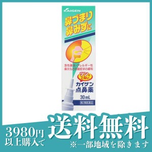 第２類医薬品カイゲン点鼻薬 30mL 鼻炎スプレー 鼻づまり 鼻水 風邪 アレルギー性鼻炎 花粉症 市販(定形外郵便での配送)