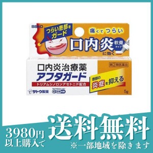 指定第２類医薬品アフタガード 5g アフタ性口内炎 治療薬 軟膏 塗り薬 子供 市販薬