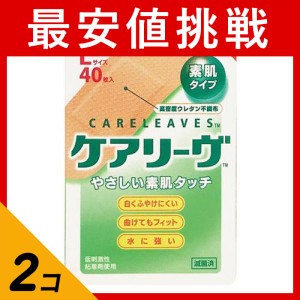  2個セットニチバン ケアリーヴ やさしい素肌タイプ 40枚 (Lサイズ)