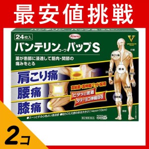 第２類医薬品 2個セット バンテリンコーワ パップS 24枚 冷湿布薬 貼り薬 痛み止め薬 腰痛 肩こり 膝 関節痛 市販