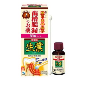 第３類医薬品生葉(しょうよう)液薬 歯槽膿漏薬 20g (+綿棒30本入)(定形外郵便での配送)