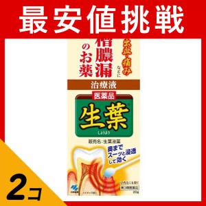 第３類医薬品 2個セット生葉(しょうよう)液薬 歯槽膿漏薬 20g (+綿棒30本入)