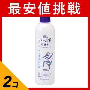  2個セット麗白 ハトムギ化粧水  ミストタイプ 250mL