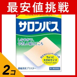 第３類医薬品 2個セットサロンパス 40枚 湿布薬 痛み止め 貼り薬 肩こり 腰痛 筋肉痛 市販 肌色 ちょっと大きめサイズ