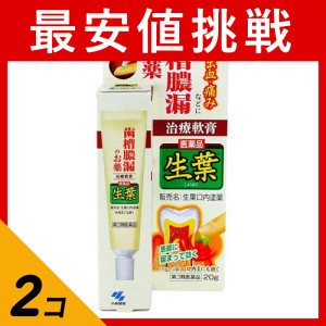 第３類医薬品 2個セット生葉口内塗薬 20g 治療軟膏 塗り薬 歯槽膿漏 歯肉炎 歯茎の腫れ 出血 痛み 口内炎 市販 しょうよう(定形外郵便で