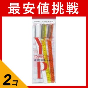  2個セットヤングパル(L) 顔・眉そり用カミソリ 3本入(定形外郵便での配送)