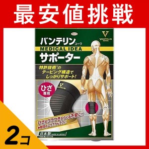  2個セットバンテリンコーワサポーター ひざ専用 大きめLサイズ 1枚入 (ブラック)(定形外郵便での配送)