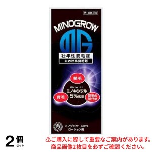 第１類医薬品 2個セットミノグロウ 60mL 発毛剤 育毛剤 男性用 ミノキシジル 岩城製薬