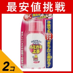  2個セットこどもハミガキ上手 いちご味 69ml(定形外郵便での配送)