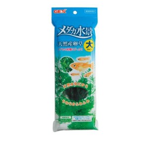 GEX メダカ水景 天然産卵草  1個入 (大)(定形外郵便での配送)