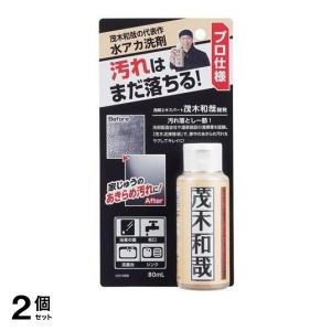  2個セットレック 茂木和哉 水アカ ウロコ汚れ 80mL (お試しサイズ 大掃除)