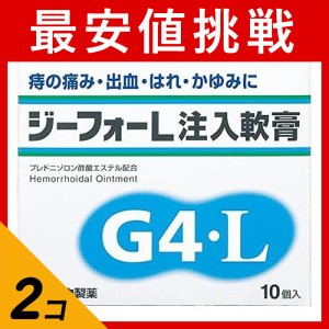 指定第２類医薬品 2個セットジーフォーL注入軟膏 10個(定形外郵便での配送)