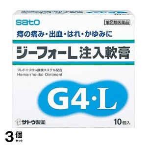 指定第２類医薬品 3個セット ジーフォーL注入軟膏 10個(定形外郵便での配送)