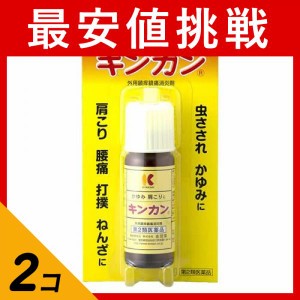 第２類医薬品 2個セットキンカン 20mL 塗り薬 かゆみ止め 虫刺され 痛み止め 肩こり 腰痛 捻挫 市販