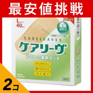  2個セットニチバン ケアリーヴ やさしい素肌タイプ 40枚 (Lサイズ)(定形外郵便での配送)