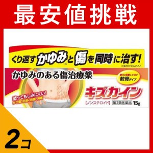 第２類医薬品 2個セットキズカイン 15g 傷薬 かゆみのある傷 ノンステロイド(定形外郵便での配送)